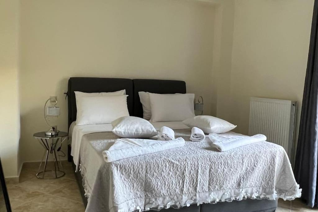 חאניה Anna Kavros Luxury Apartment מראה חיצוני תמונה